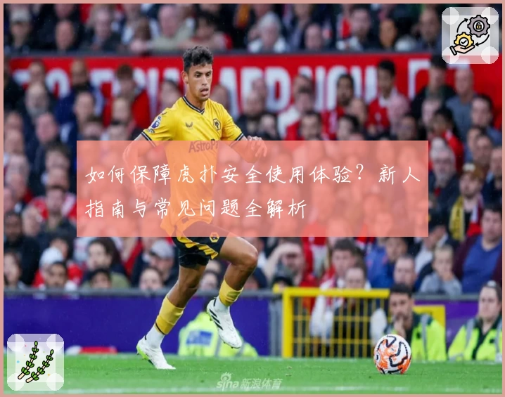 如何保障虎扑安全使用体验？新人指南与常见问题全解析