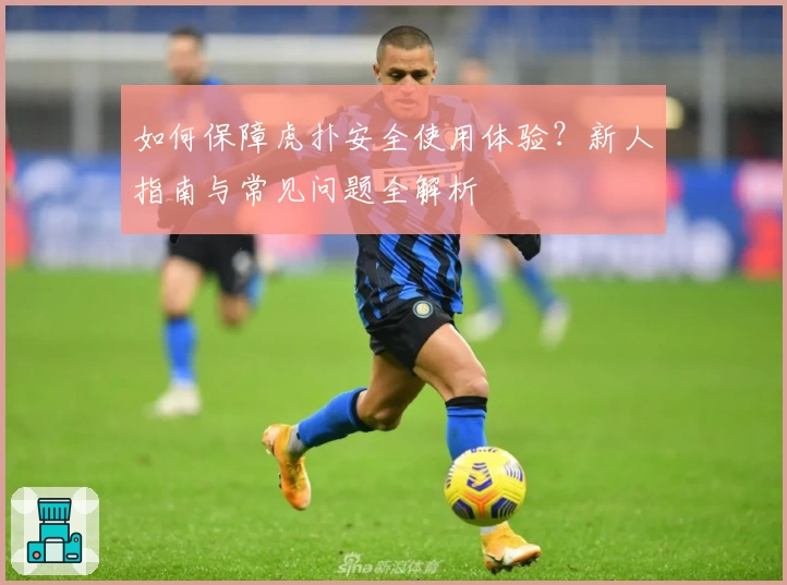 如何保障虎扑安全使用体验？新人指南与常见问题全解析